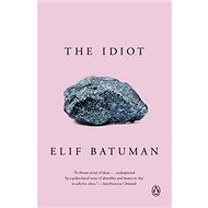 The Idiot: A Novel - 