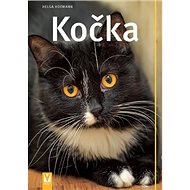 Kočka - Helga Hofmann