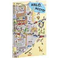 Haló, město! - Anna Fiske