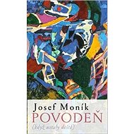 Povodeň: když ustaly deště - Josef Moník