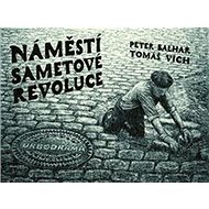 Náměstí Sametové revoluce - Tomáš Vích