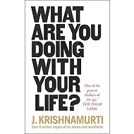 What Are You Doing With Your Life? - Jiddu Krishnamurti