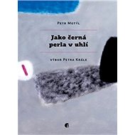 Jako černá perla v uhlí - Petr Motýl; Petr Král