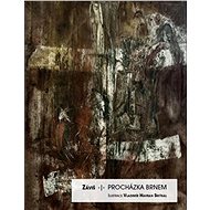 Procházka Brnem - 
