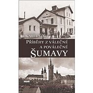 Příběhy z válečné a poválečné Šumavy - Karel Fořt