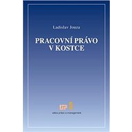 Pracovní právo v kostce - Ladislav Jouza