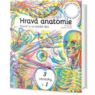 Hravá anatomie: Posviť si na lidské tělo - Kate Davies;  Carnovsky