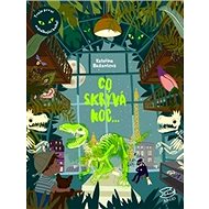 Co skrývá noc - Kateřina Bažantová