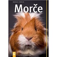 Morče - Immanuel Birmelin