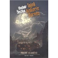 Tajná historie Bornnu - Vladimír Šlechta