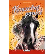 Kouzelní poníci Třpytivé štěstí - Sue Bentleyová