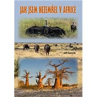 Jak jsem nezemřel v Africe - Jiří Tomčík