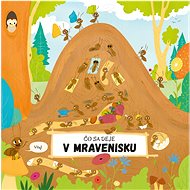 Čo sa deje v mravenisku - Petra Bartíková