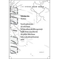 Tekuté zrcadlo - Jiří Štěpán
