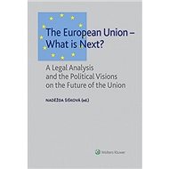 The European Union – What is Next? - Naděžda Šišková