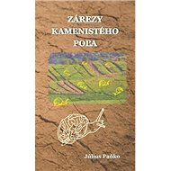 Zárezy kamenistého poľa - Július Paňko