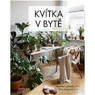 Kvítka v bytě - 