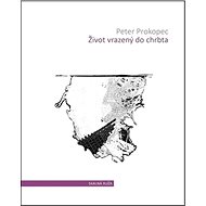 Život vrazený do chrbta - Peter Prokopec