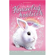 Kouzelný králíček Strážce klíče - Sue Bentleyová