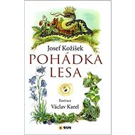 Pohádka lesa - Josef Kožíšek; Václav Karel