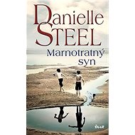 Marnotratný syn - Danielle Steelová
