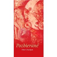 Pozbierané - Tibor Durdjak