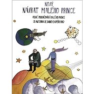Nový návrat malého prince - Richard Bergman; Ondřej Martin