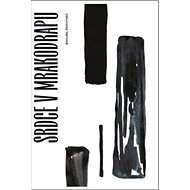 Srdce v mrakodrapu - Bohumil Ždichynec