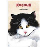 Kocour - Pavel Mirovský