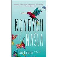 Kdybych tě našla - Ava Dellaira