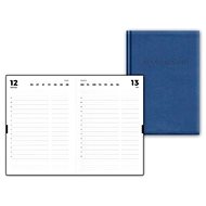 Daily records - blue - Planner