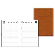 Daily records - brown - Planner