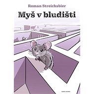 Myš v bludišti - Roman Streichsbier