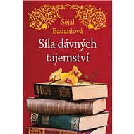 Síla dávných tajemství - Sejal Badani