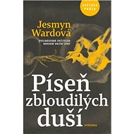 Píseň zbloudilých duší - Jesmyn Wardová