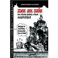 Zdar jak sviňa: bez těchto hlášek v Brně nepřežiješ - Honza Žanek Hlaváček