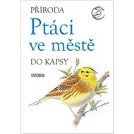Ptáci ve městě - 