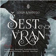 Šest vran - Audiokniha na CD