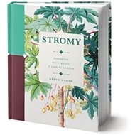 Stromy - Steve Marsh