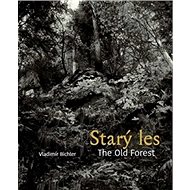 Starý les / The Old Forest - Vladimír Bichler