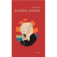 Ježíškův ježíšek - Aleš Káňa