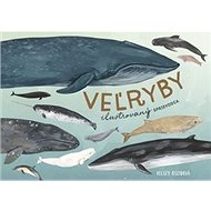 Veľryby: ilustrovaný sprievodca - Kelsey Oseidová