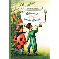 Dobrodružství broučka Sluníčka - Vojtěch Kubašta; Vojtěch Kubašta