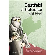 Jestřábi a holubice - Aleš Michl