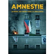 Amnestie - 