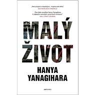 Malý život - Hanya Yanagihara