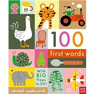 100 First Words - 