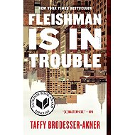 Fleishman Is in Trouble - Taffy Brodesser-Akner