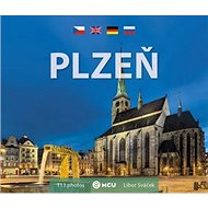 Plzeň - Libor Sváček