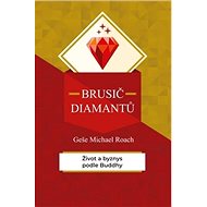 Brusič diamantů: Život a byznys podle Buddhy - 
